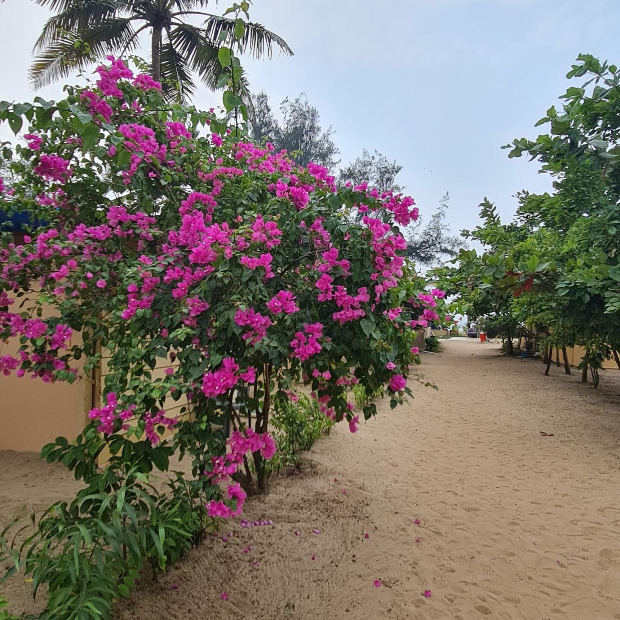 Love Temple Beach Resort Arambol Exteriör bild